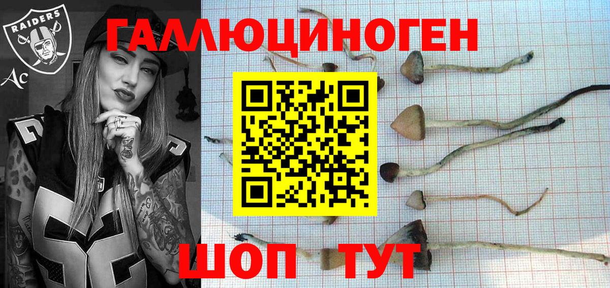 что такое   Галлюциногенные грибы мухоморы  Вход с VPN  Прохладный 